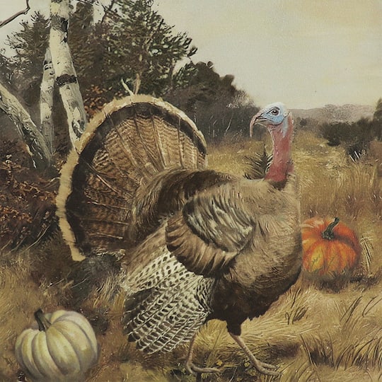 Framed Turkey Wall Décor by Ashland®